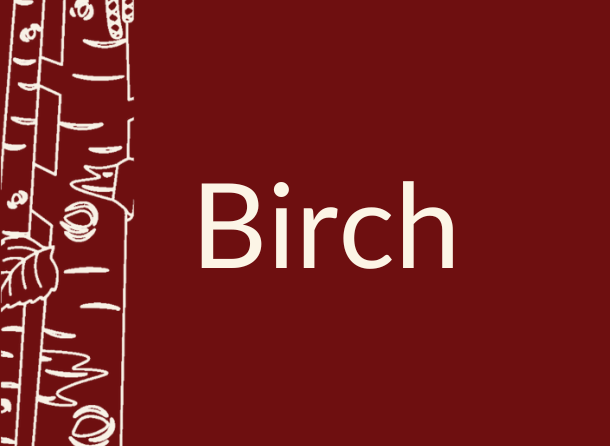 A graphic of a birch tree with the text Birch.