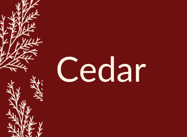 A maroon background with cedar leaf icons.