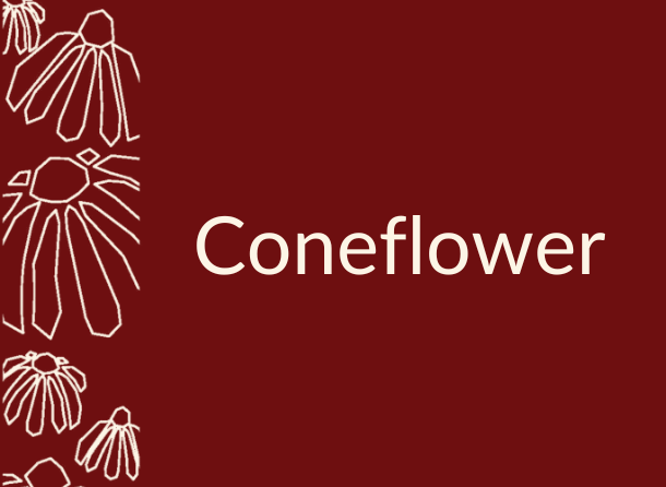 A maroon background with coneflower icons.