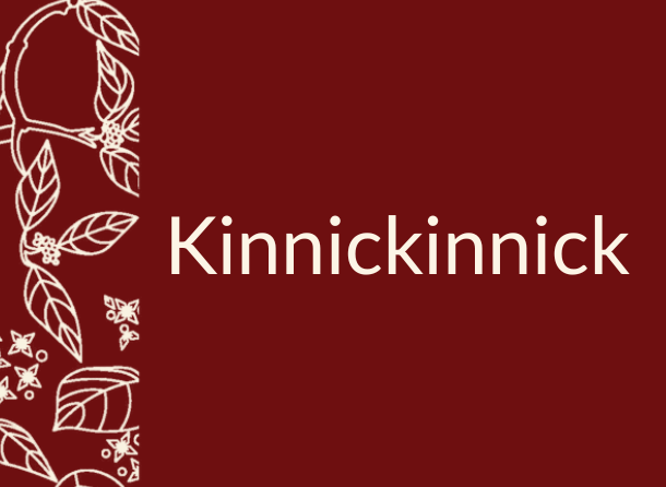 A maroon background with kinnickinnick leaves.